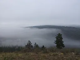 Более 30 тыс. га лесов горит в Красноярском крае
